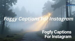 Foggy Captions For Instagram